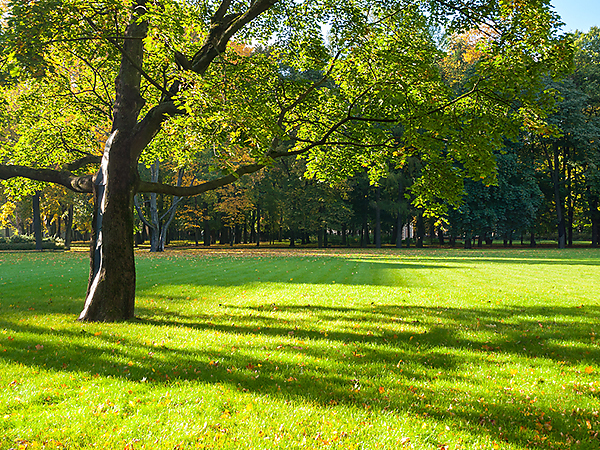 Park-Generic-City-Attraction