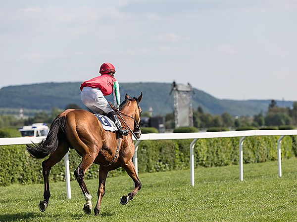 Chester-Racecourse-City-Attraction