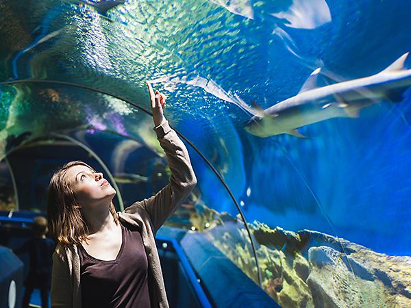 Bolton-Aquarium-City-Attraction