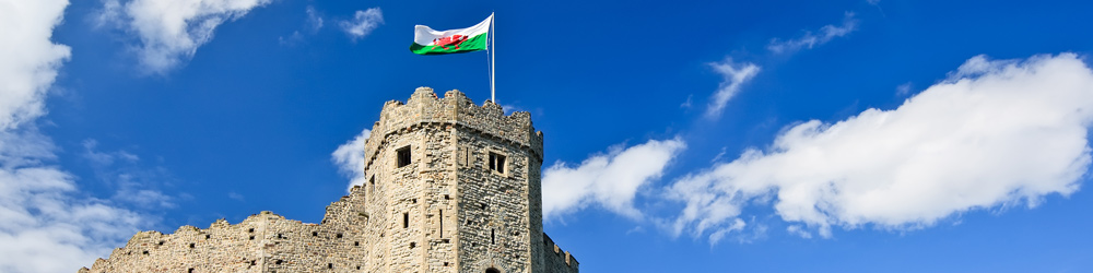 Attraction and event parking in Cardiff